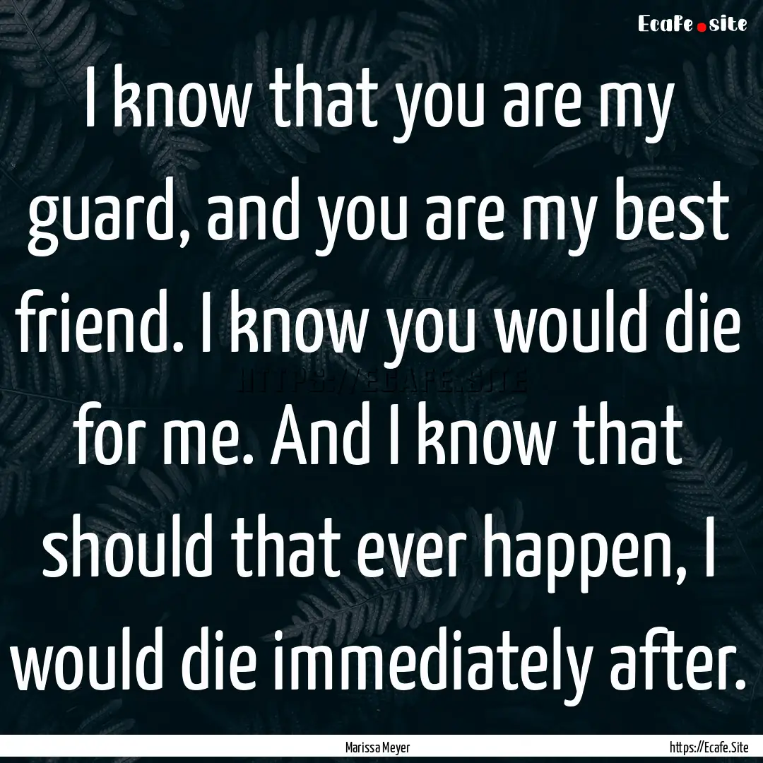 I know that you are my guard, and you are.... : Quote by Marissa Meyer