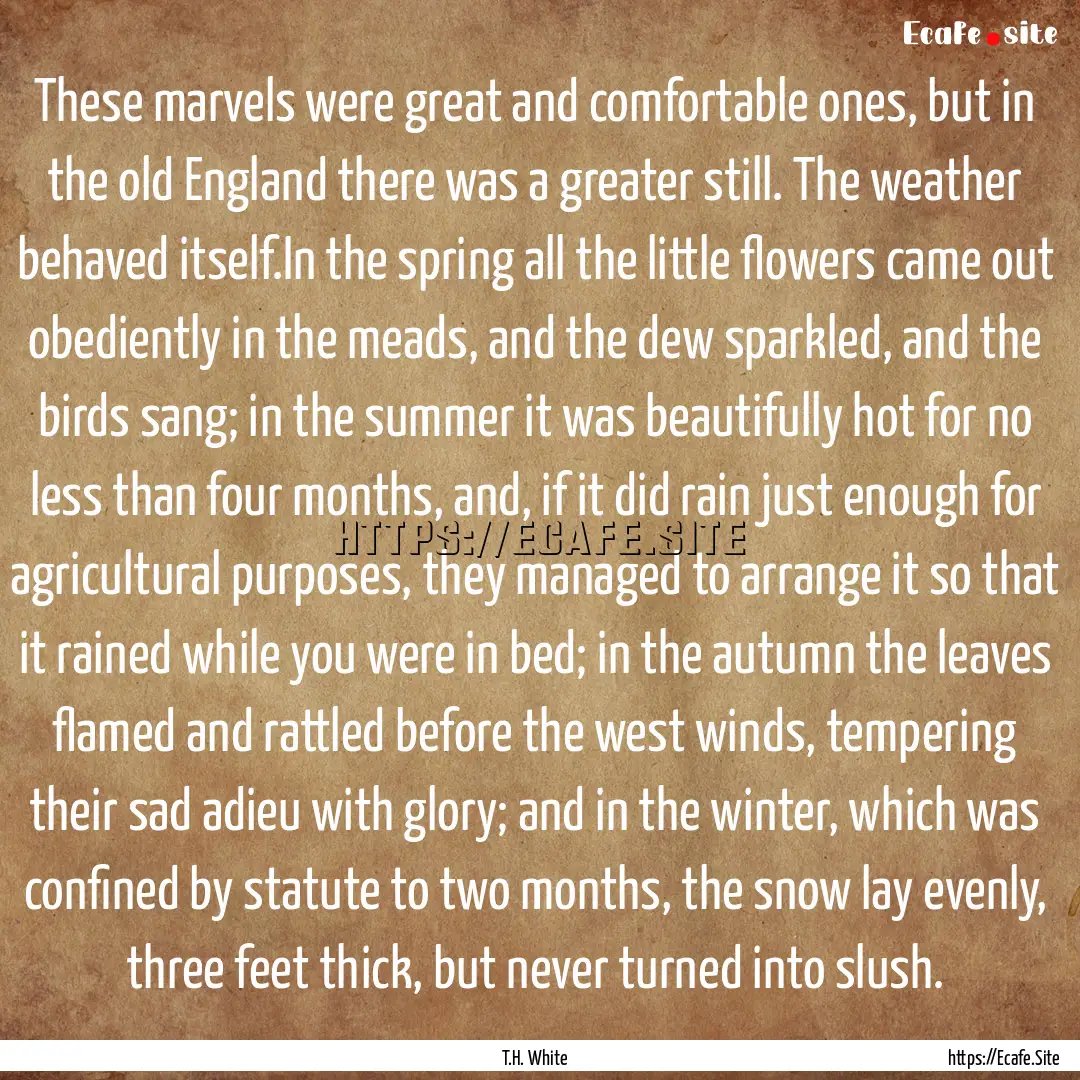 These marvels were great and comfortable.... : Quote by T.H. White