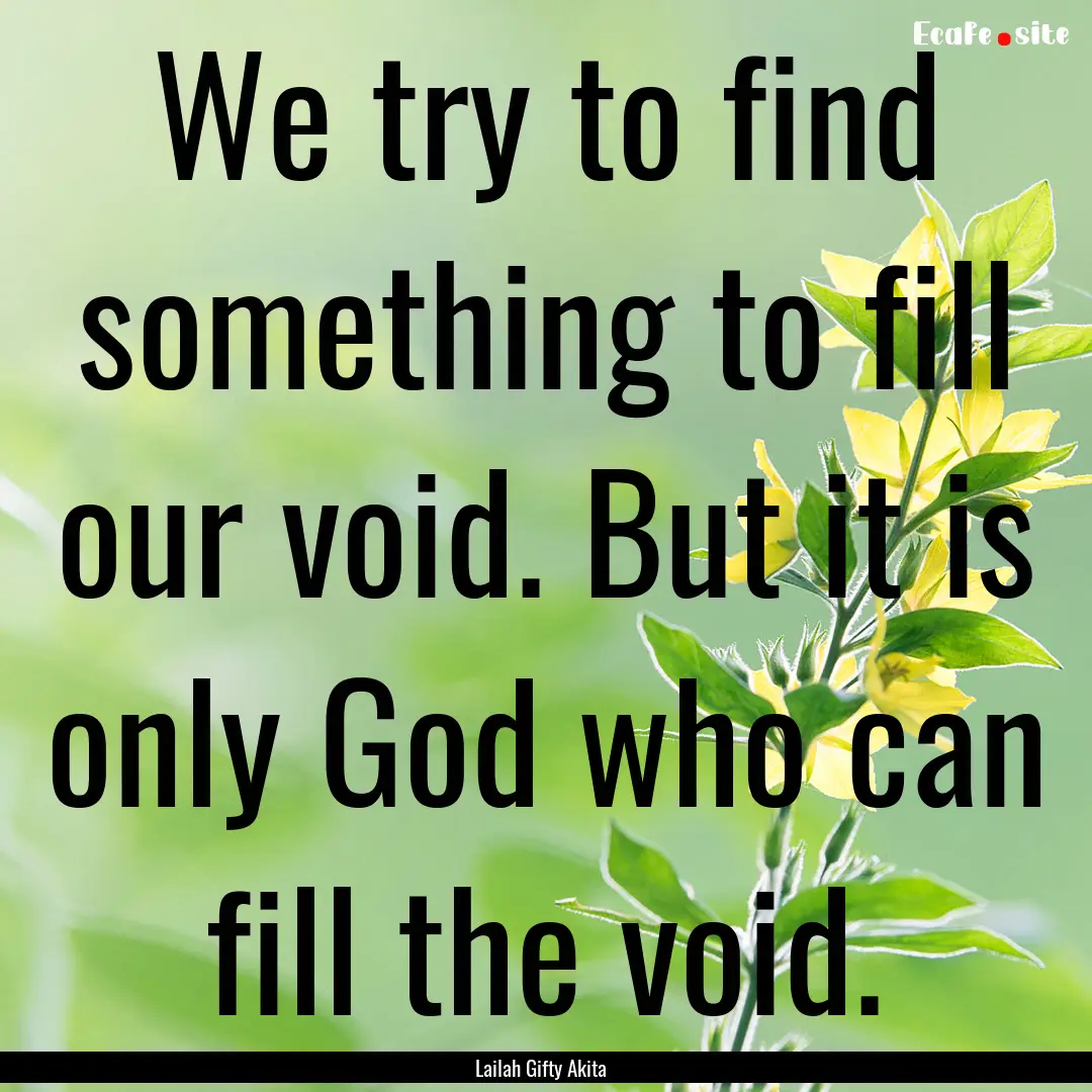 We try to find something to fill our void..... : Quote by Lailah Gifty Akita