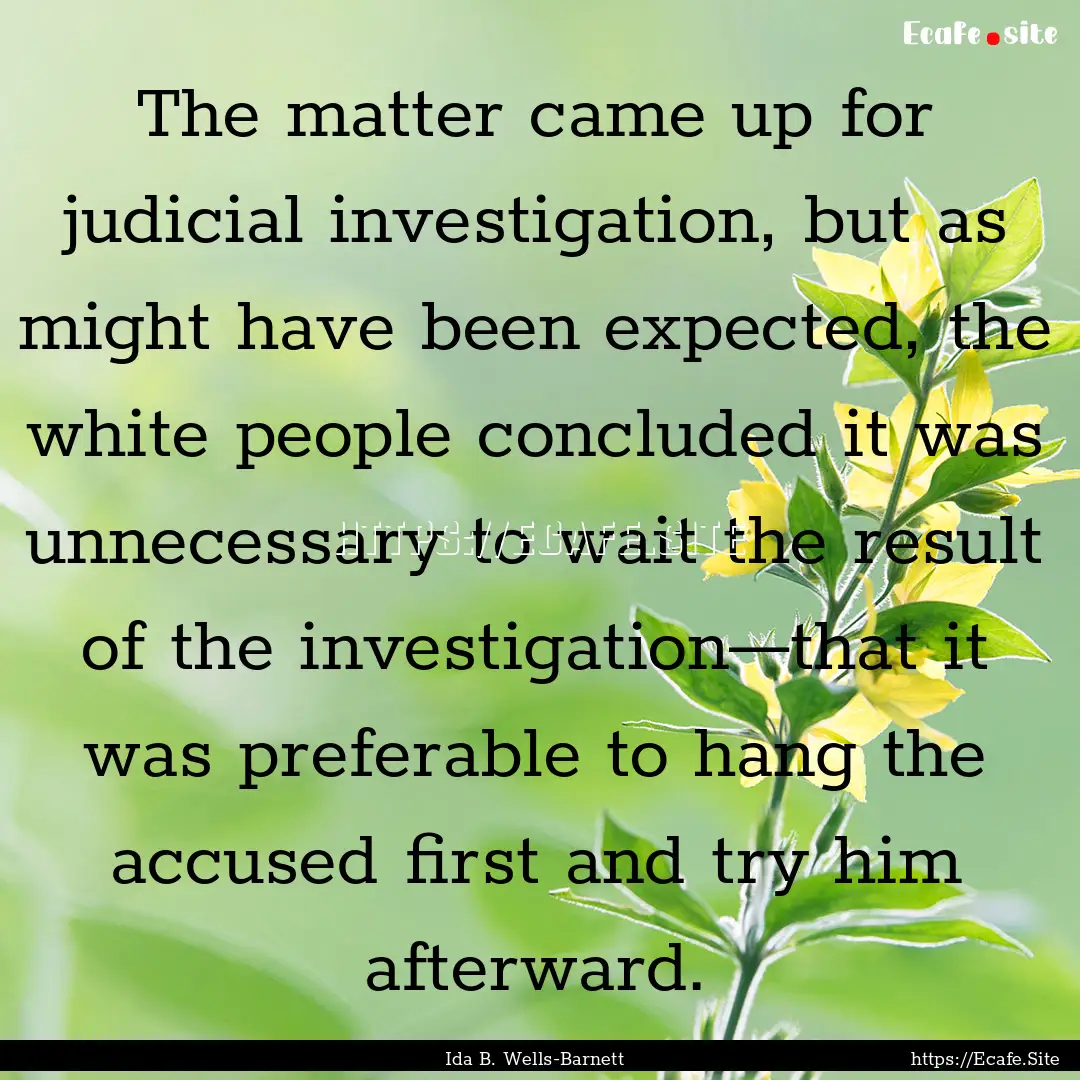 The matter came up for judicial investigation,.... : Quote by Ida B. Wells-Barnett