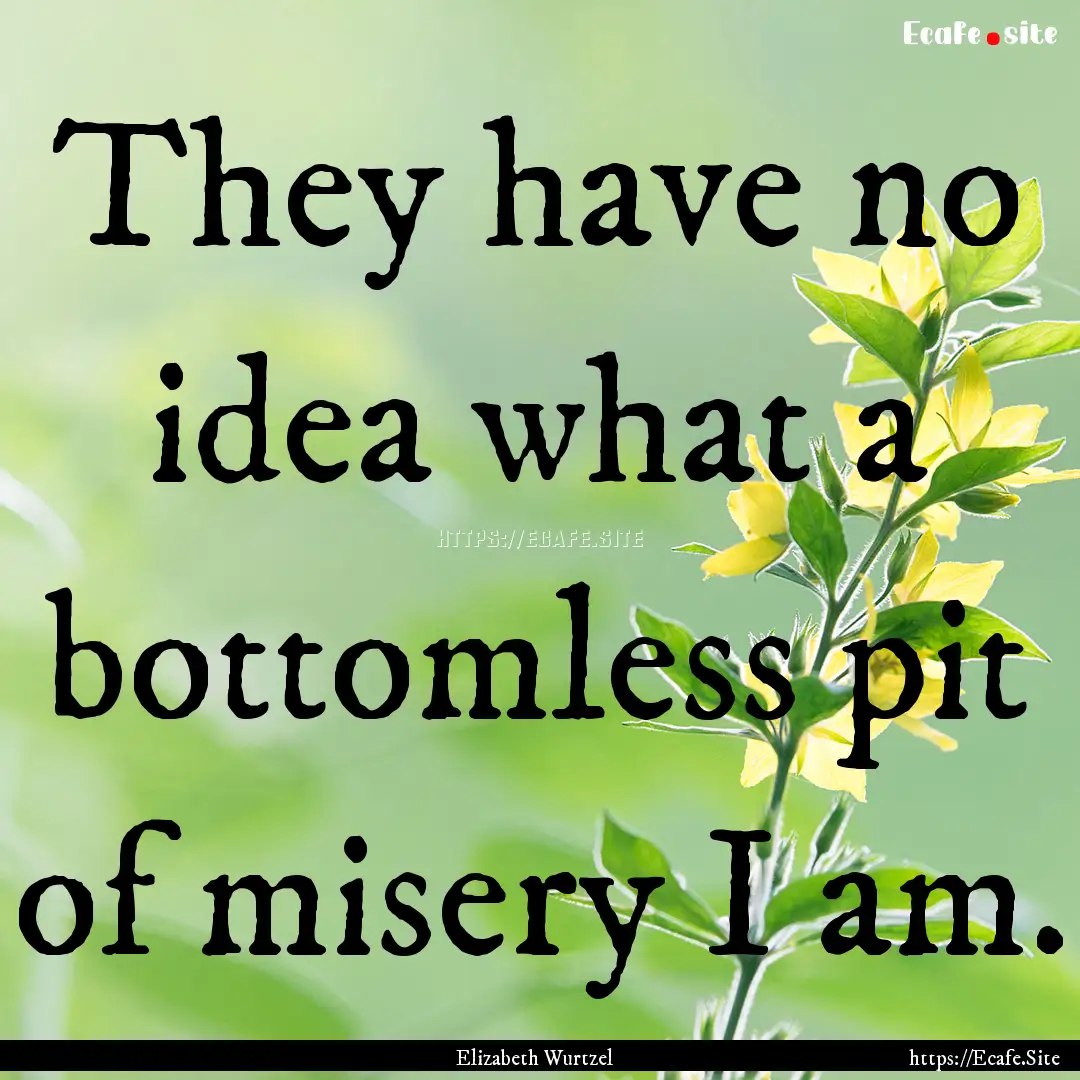 They have no idea what a bottomless pit of.... : Quote by Elizabeth Wurtzel