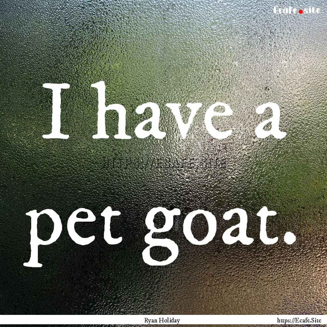 I have a pet goat. : Quote by Ryan Holiday