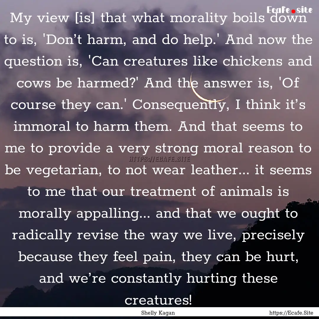 My view [is] that what morality boils down.... : Quote by Shelly Kagan