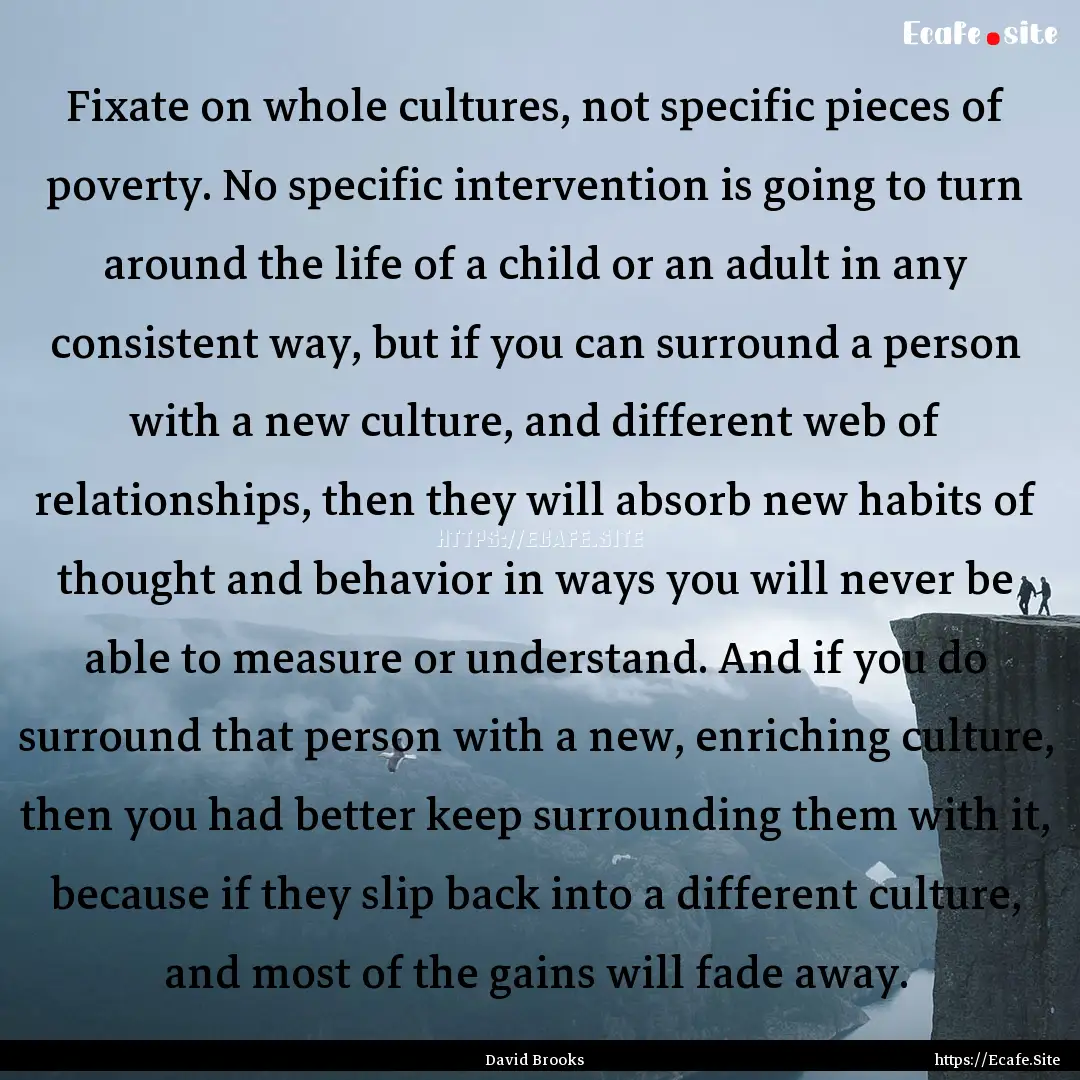 Fixate on whole cultures, not specific pieces.... : Quote by David Brooks