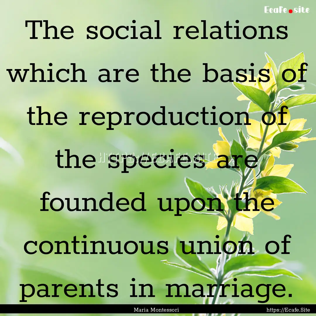 The social relations which are the basis.... : Quote by Maria Montessori