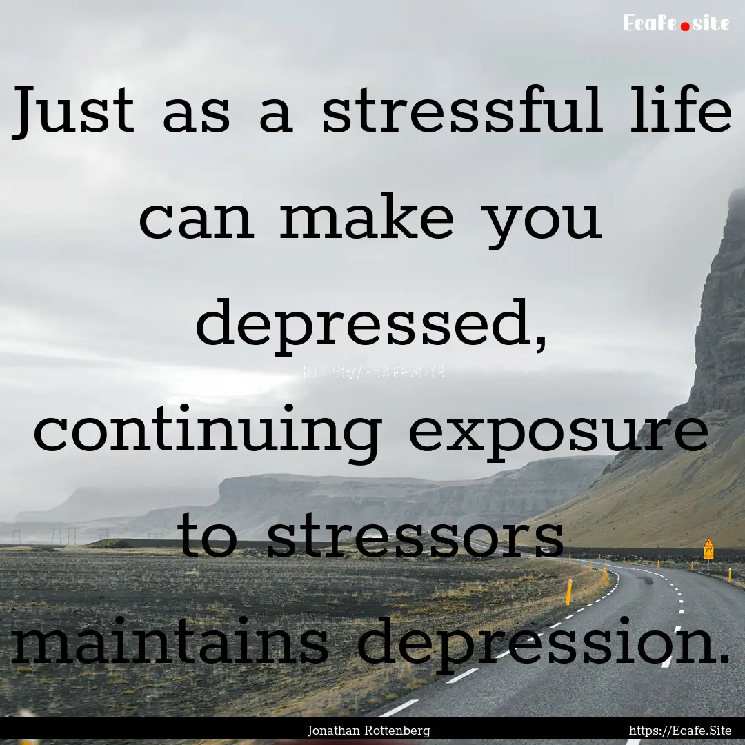 Just as a stressful life can make you depressed,.... : Quote by Jonathan Rottenberg