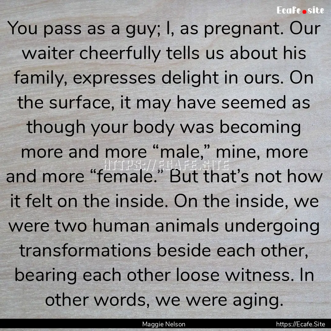 You pass as a guy; I, as pregnant. Our waiter.... : Quote by Maggie Nelson