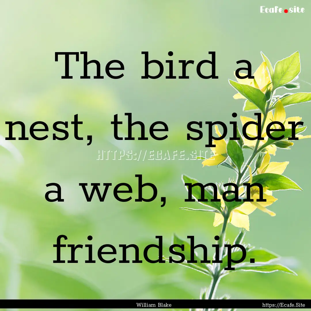 The bird a nest, the spider a web, man friendship..... : Quote by William Blake