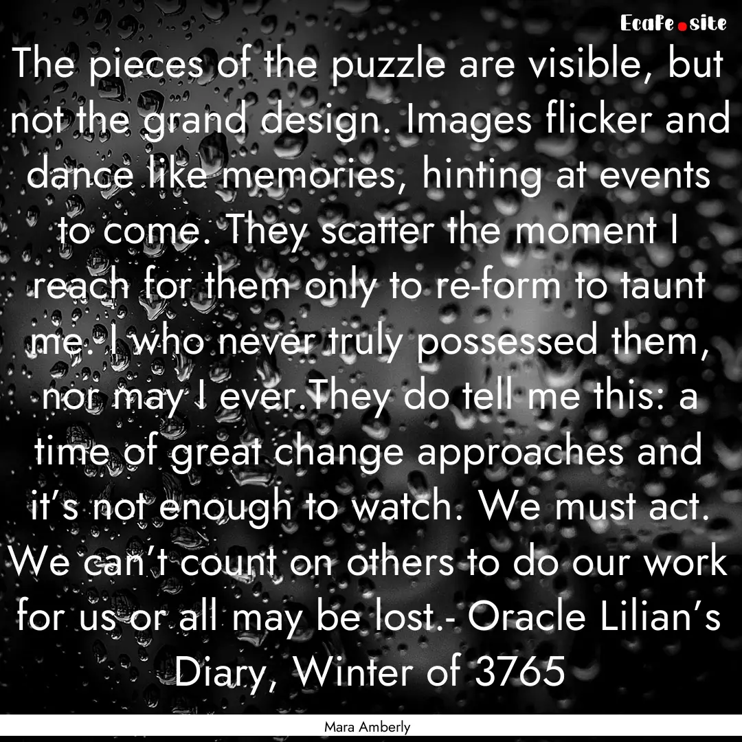 The pieces of the puzzle are visible, but.... : Quote by Mara Amberly