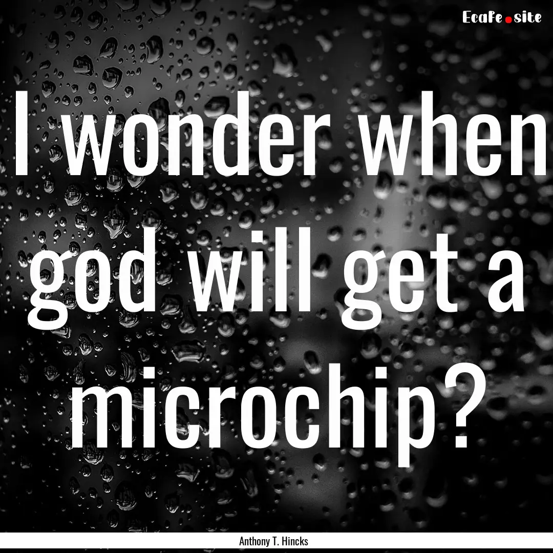 I wonder when god will get a microchip? : Quote by Anthony T. Hincks