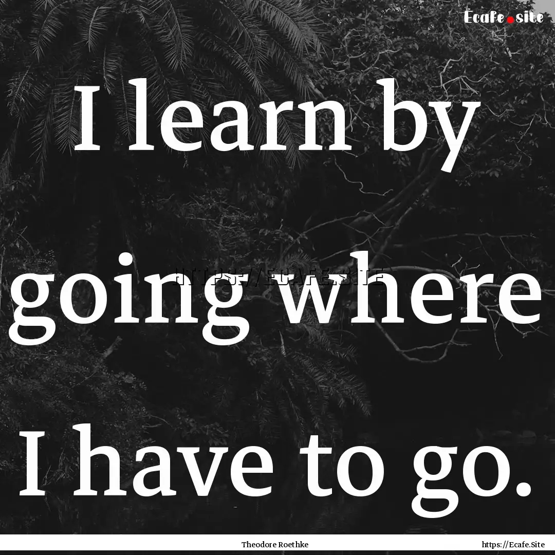 I learn by going where I have to go. : Quote by Theodore Roethke