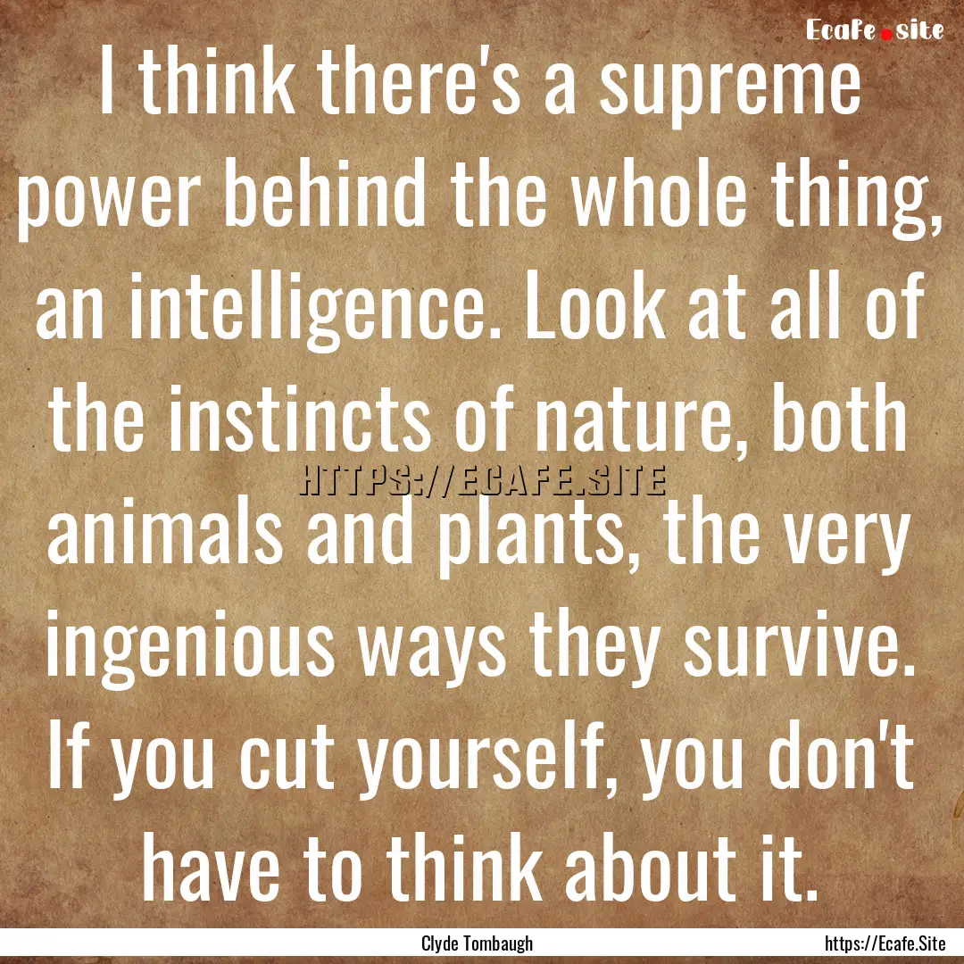 I think there's a supreme power behind the.... : Quote by Clyde Tombaugh