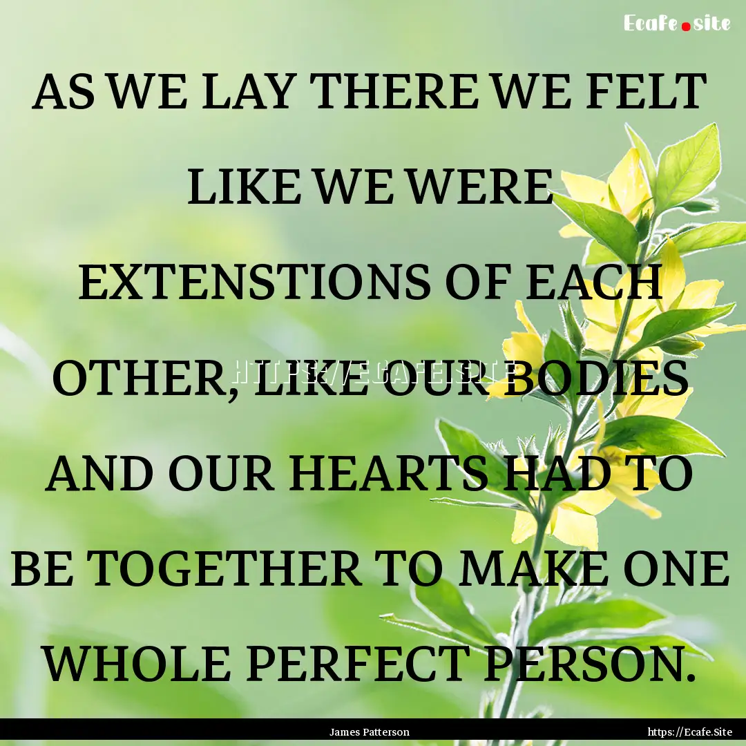 AS WE LAY THERE WE FELT LIKE WE WERE EXTENSTIONS.... : Quote by James Patterson