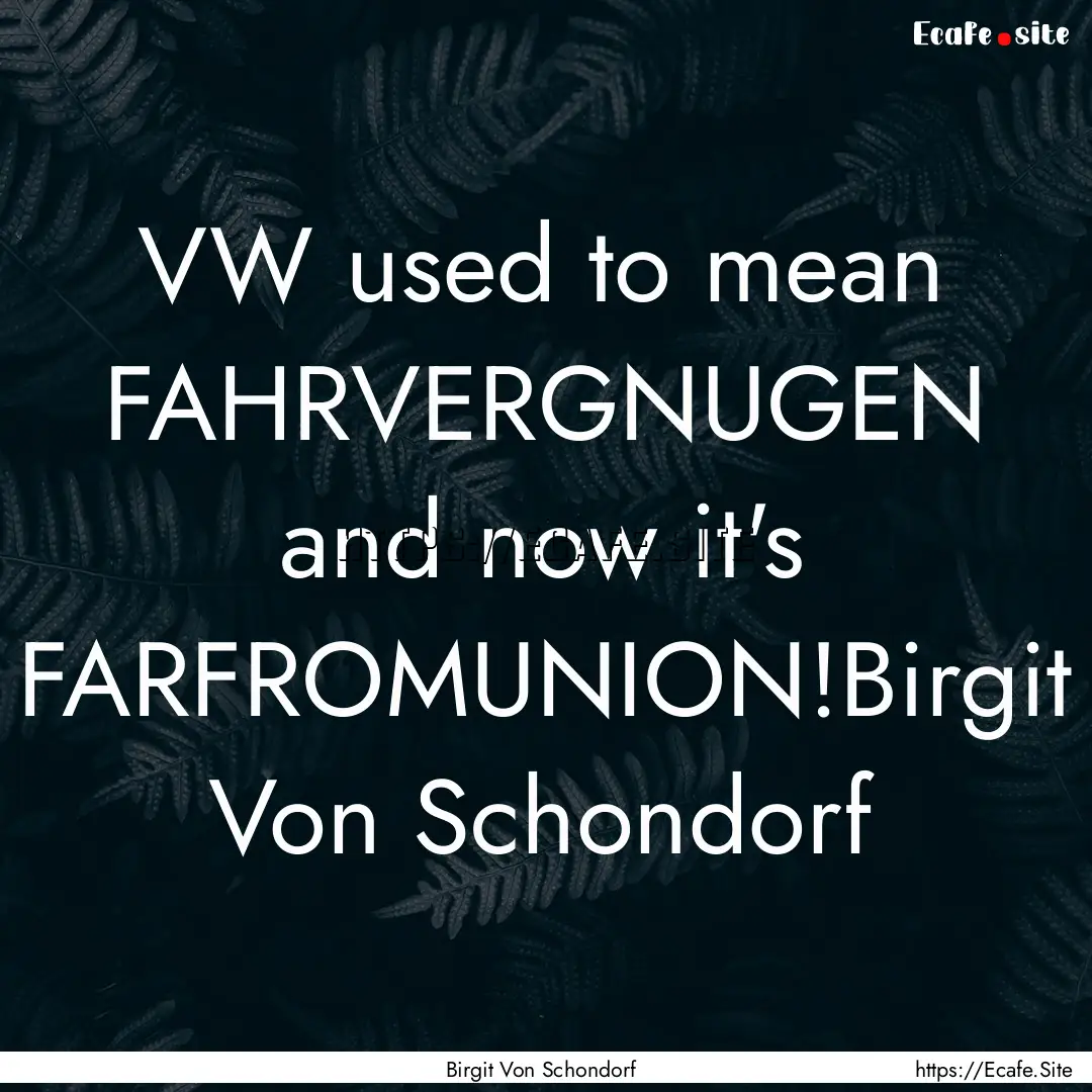 VW used to mean FAHRVERGNUGEN and now it's.... : Quote by Birgit Von Schondorf