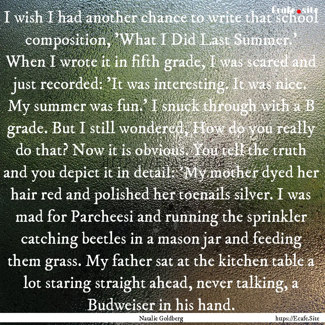 I wish I had another chance to write that.... : Quote by Natalie Goldberg