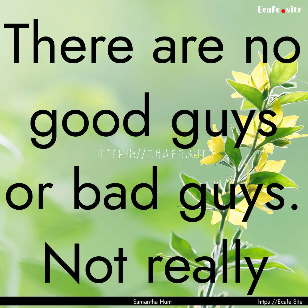 There are no good guys or bad guys. Not really.... : Quote by Samantha Hunt