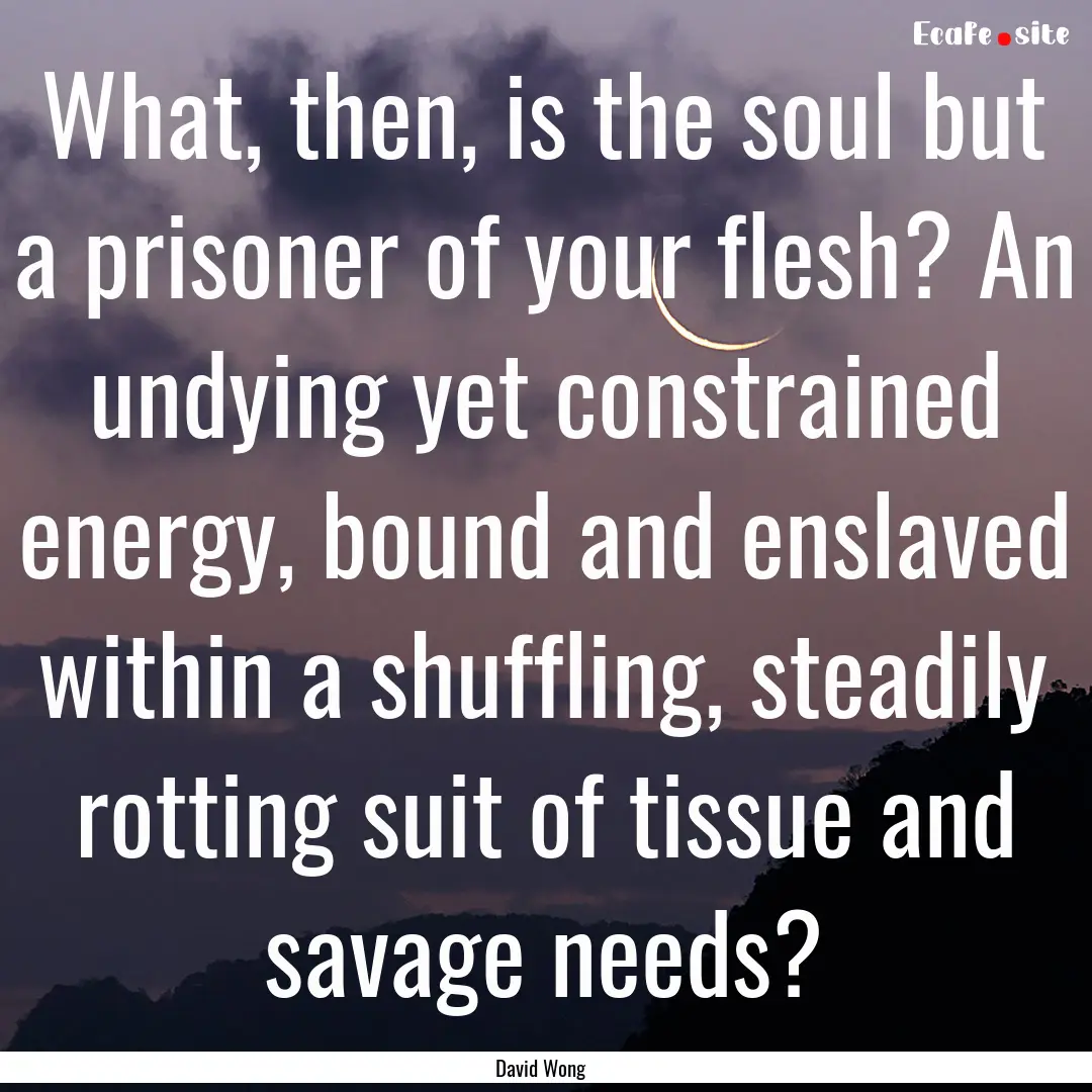 What, then, is the soul but a prisoner of.... : Quote by David Wong