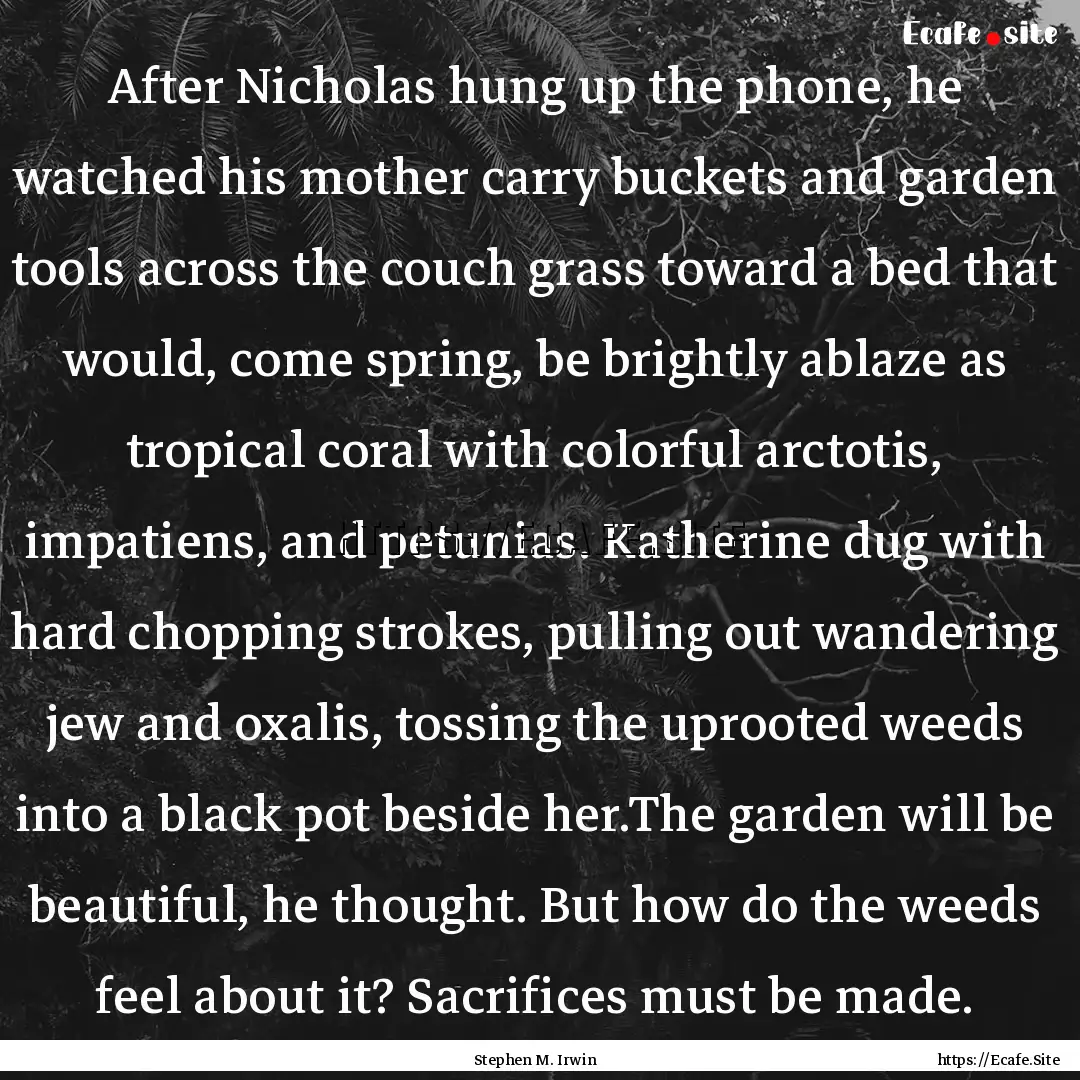 After Nicholas hung up the phone, he watched.... : Quote by Stephen M. Irwin