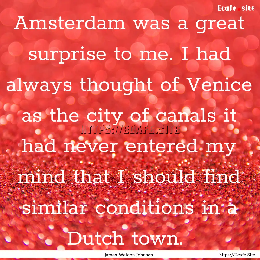 Amsterdam was a great surprise to me. I had.... : Quote by James Weldon Johnson