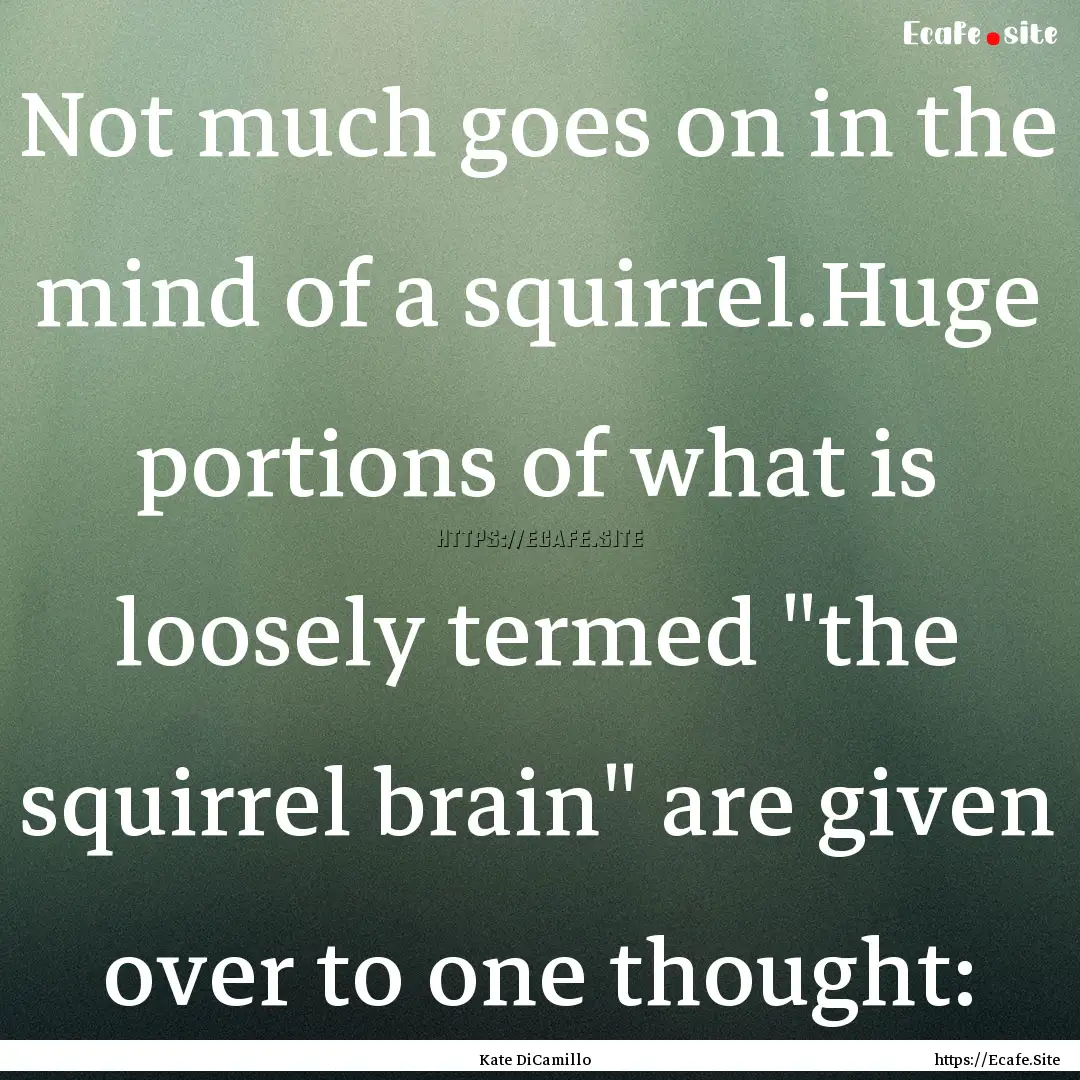 Not much goes on in the mind of a squirrel.Huge.... : Quote by Kate DiCamillo