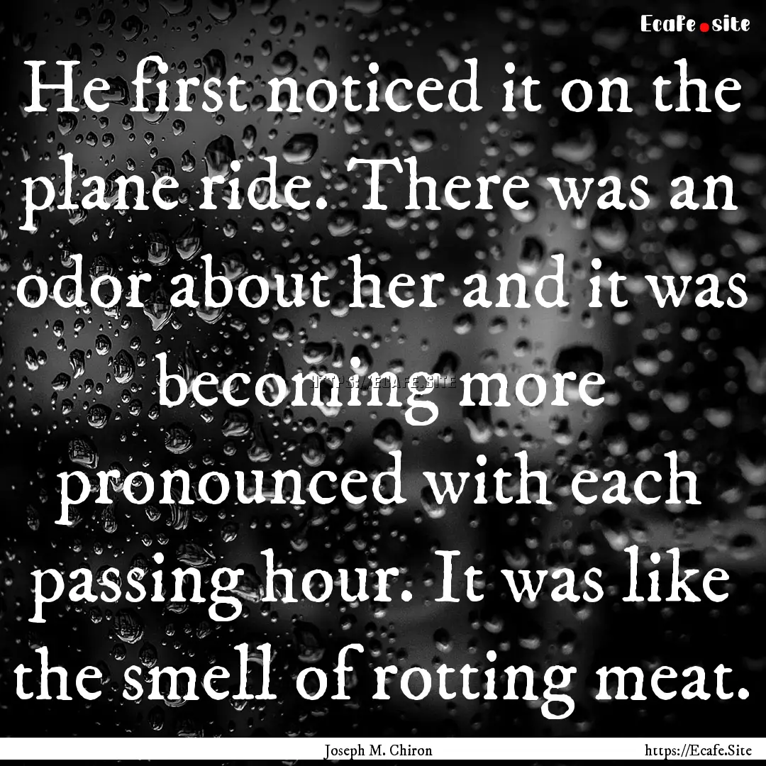 He first noticed it on the plane ride. There.... : Quote by Joseph M. Chiron