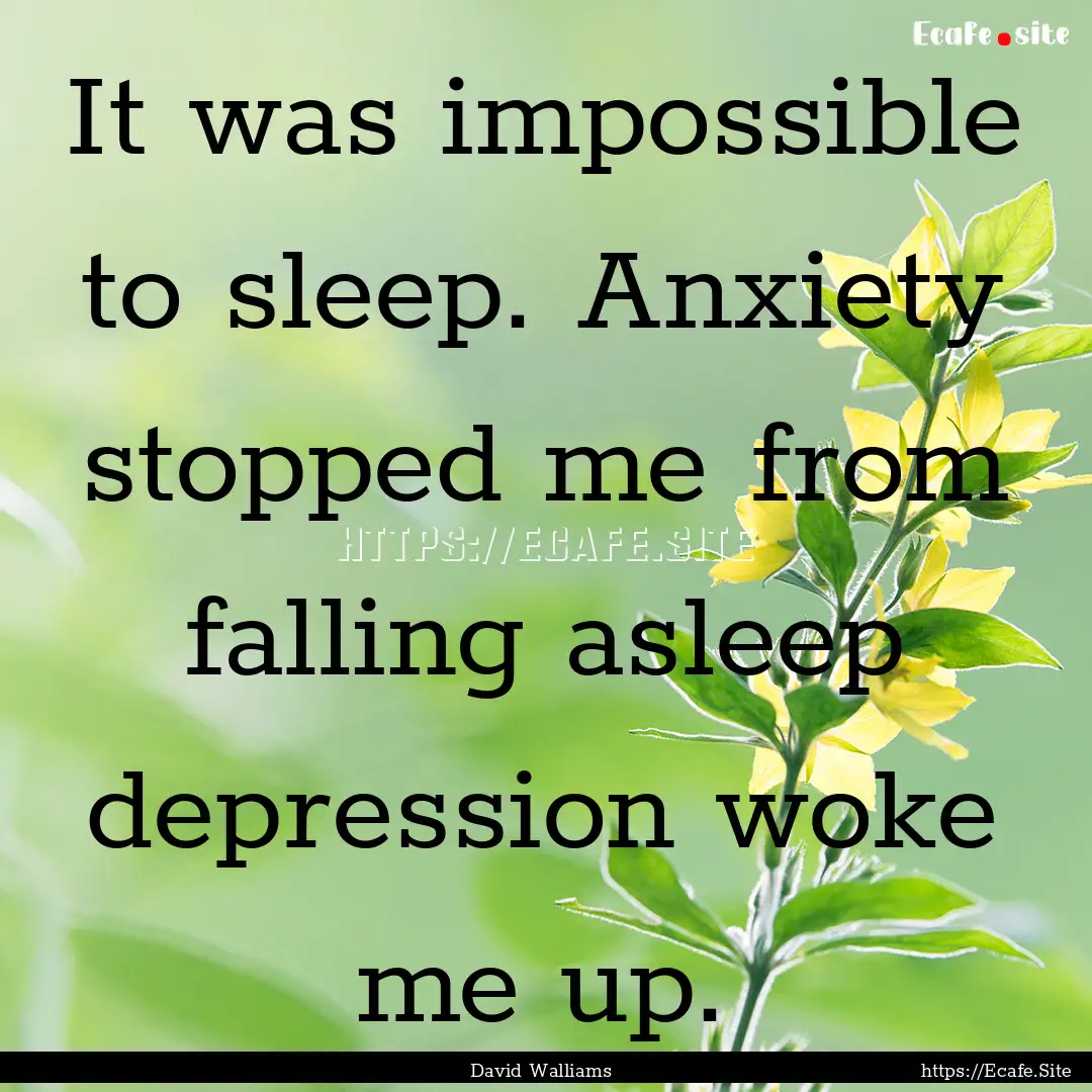 It was impossible to sleep. Anxiety stopped.... : Quote by David Walliams