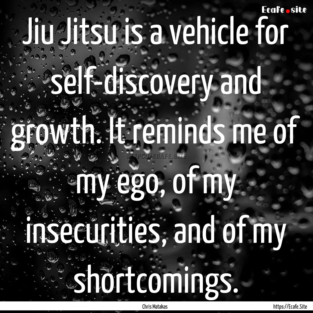 Jiu Jitsu is a vehicle for self-discovery.... : Quote by Chris Matakas