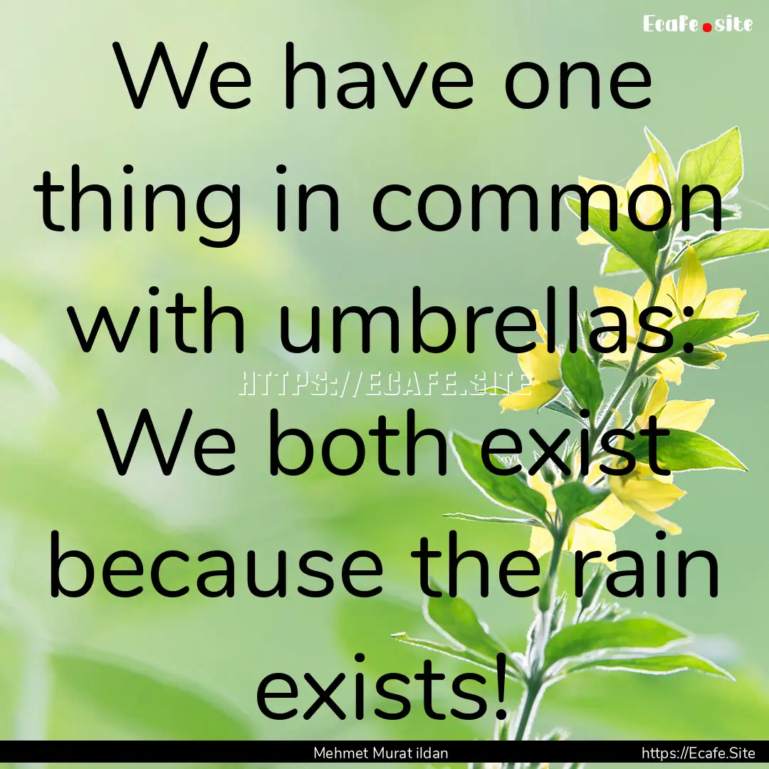 We have one thing in common with umbrellas:.... : Quote by Mehmet Murat ildan