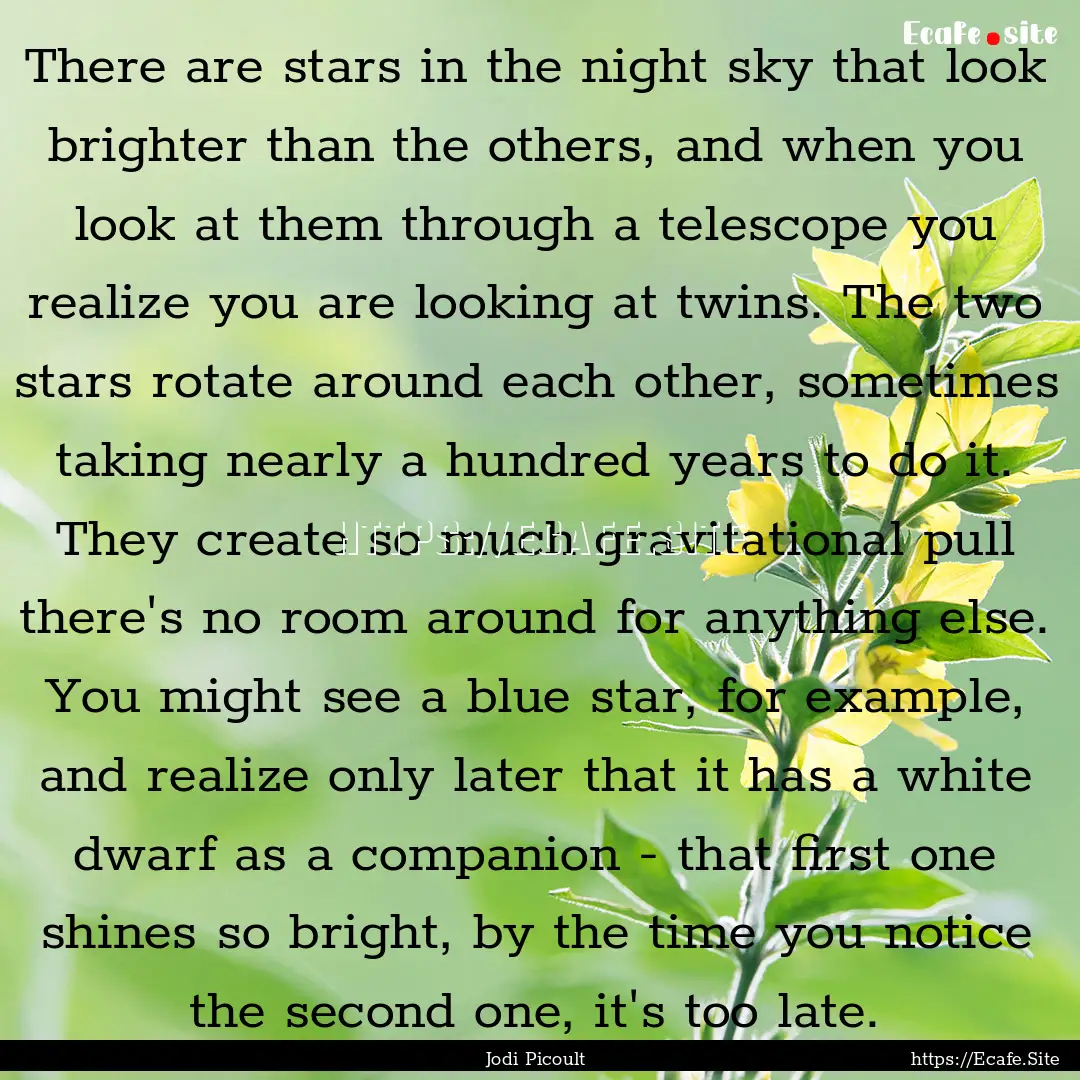 There are stars in the night sky that look.... : Quote by Jodi Picoult