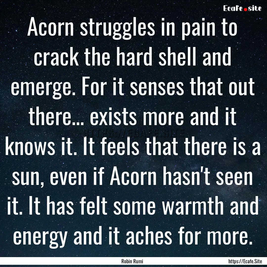 Acorn struggles in pain to crack the hard.... : Quote by Robin Rumi