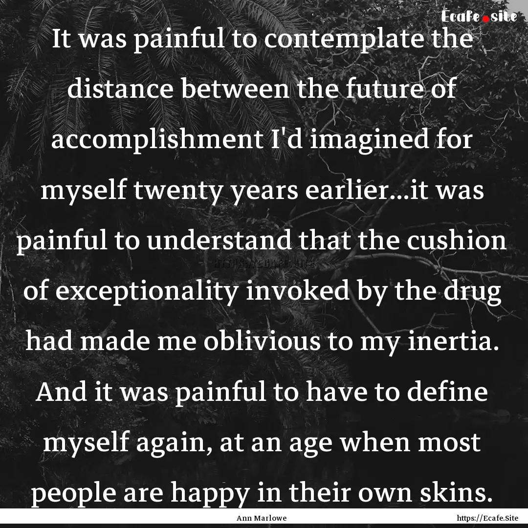 It was painful to contemplate the distance.... : Quote by Ann Marlowe