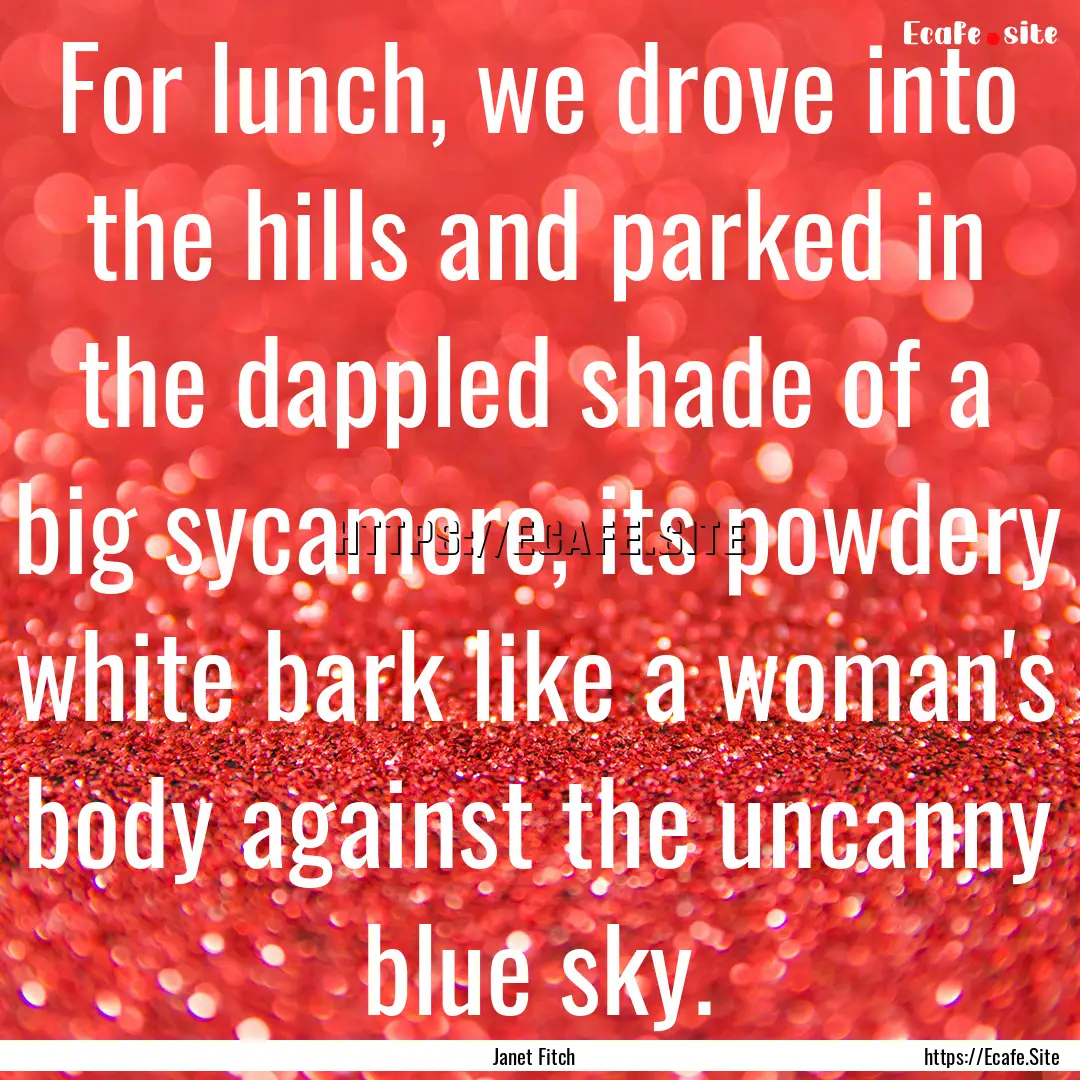 For lunch, we drove into the hills and parked.... : Quote by Janet Fitch