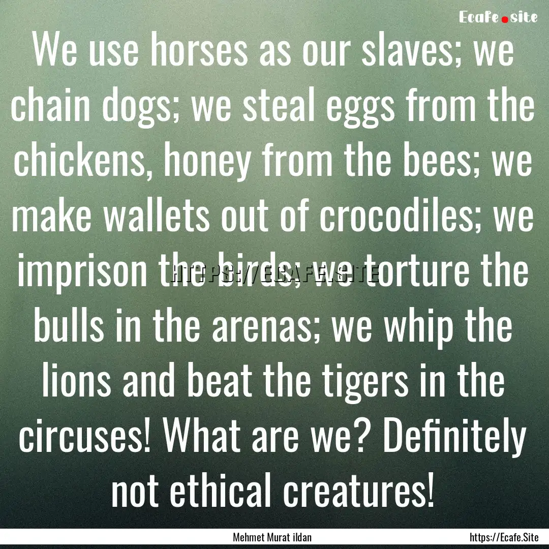 We use horses as our slaves; we chain dogs;.... : Quote by Mehmet Murat ildan