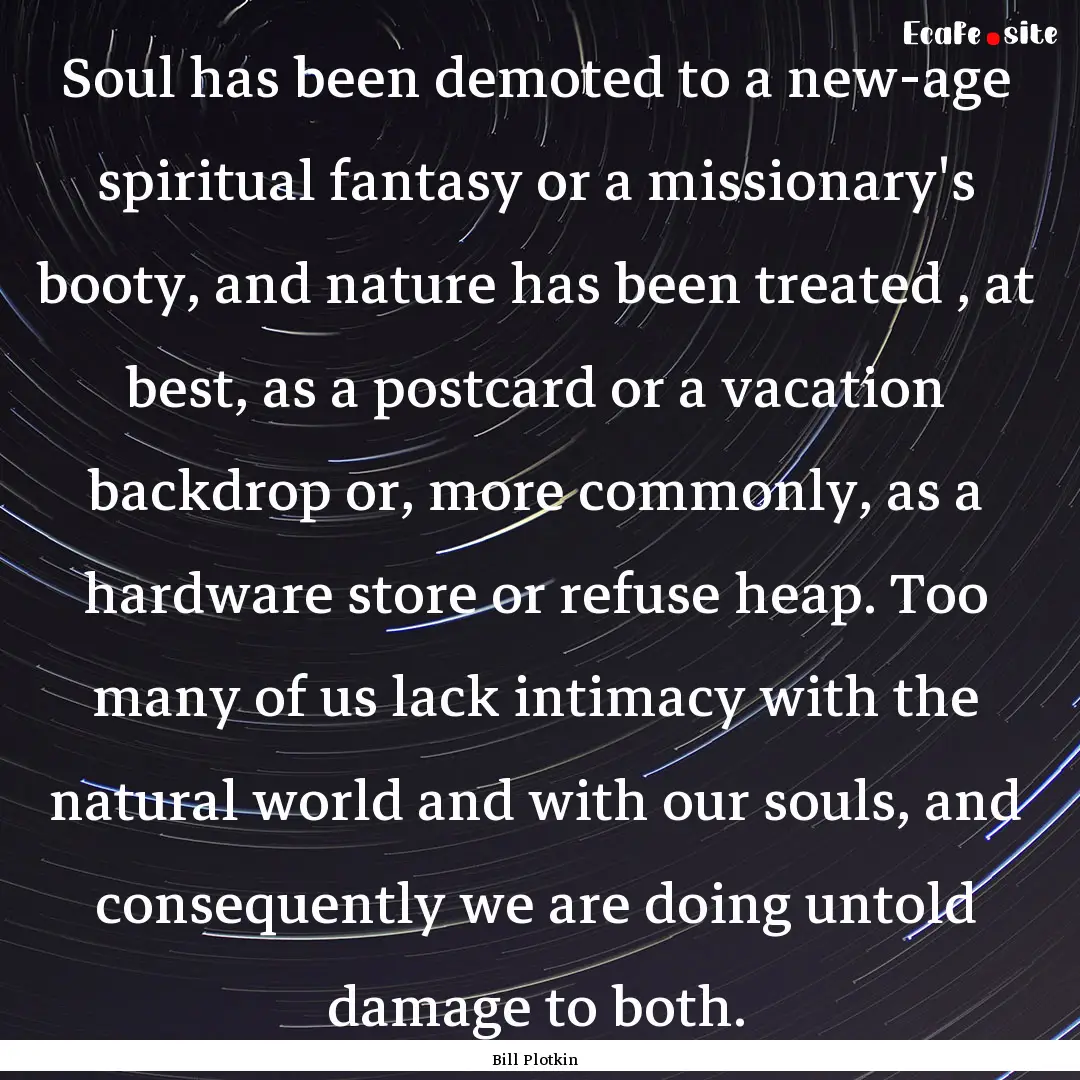 Soul has been demoted to a new-age spiritual.... : Quote by Bill Plotkin