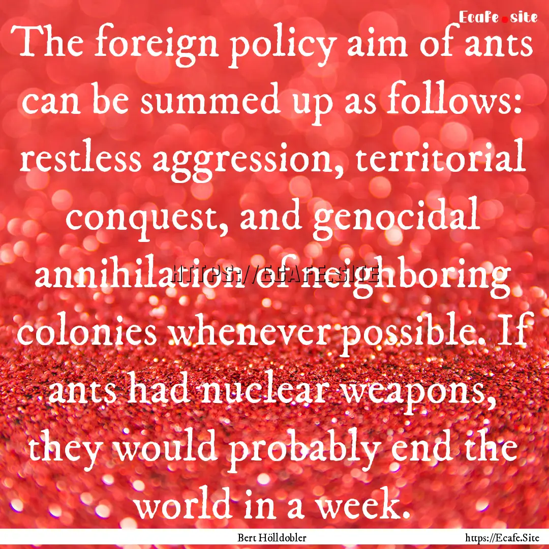 The foreign policy aim of ants can be summed.... : Quote by Bert Hölldobler