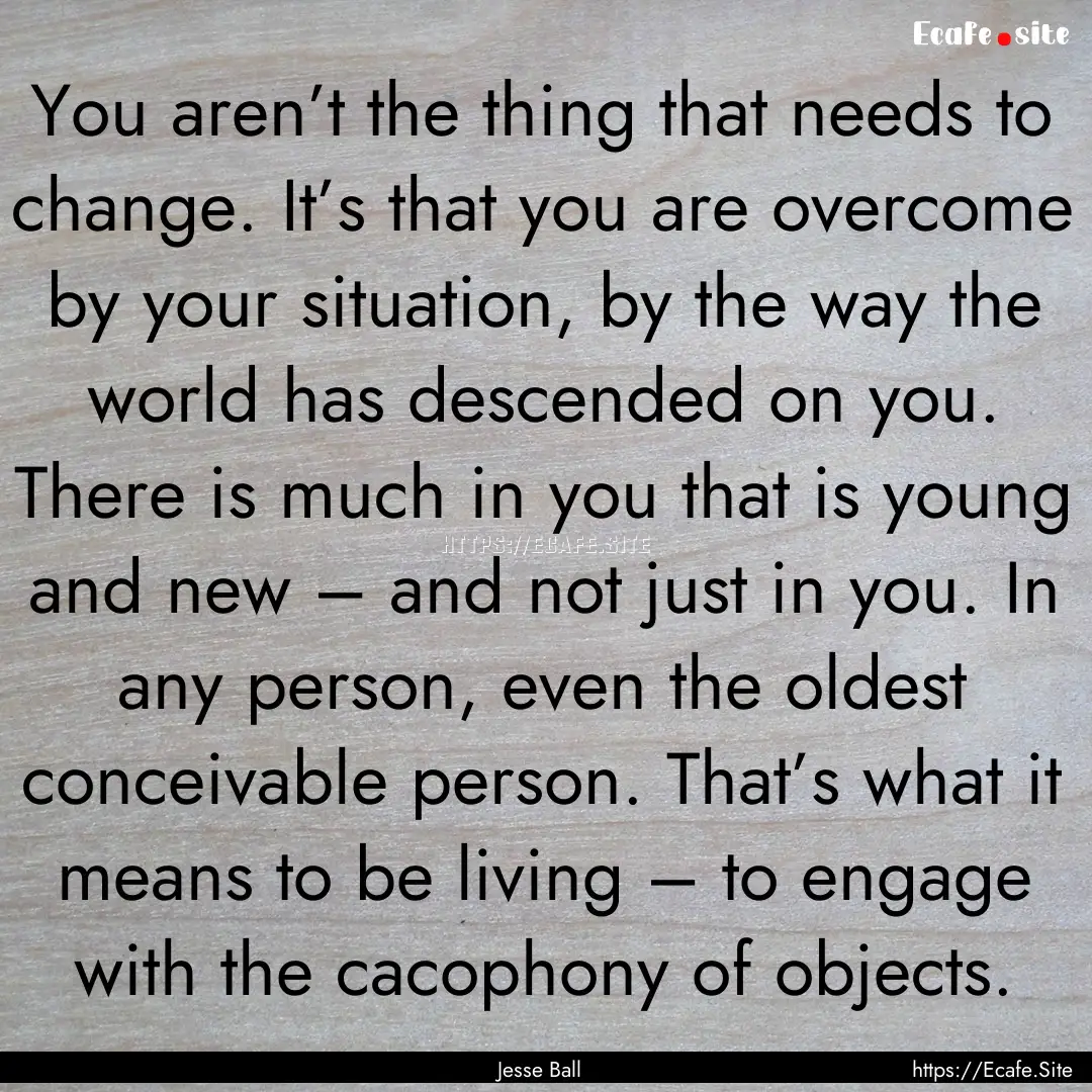 You aren’t the thing that needs to change..... : Quote by Jesse Ball