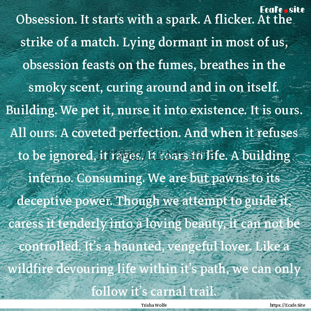 Obsession. It starts with a spark. A flicker..... : Quote by Trisha Wolfe