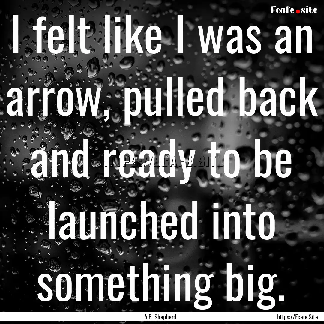 I felt like I was an arrow, pulled back and.... : Quote by A.B. Shepherd