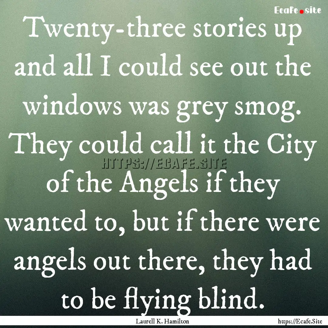 Twenty-three stories up and all I could see.... : Quote by Laurell K. Hamilton