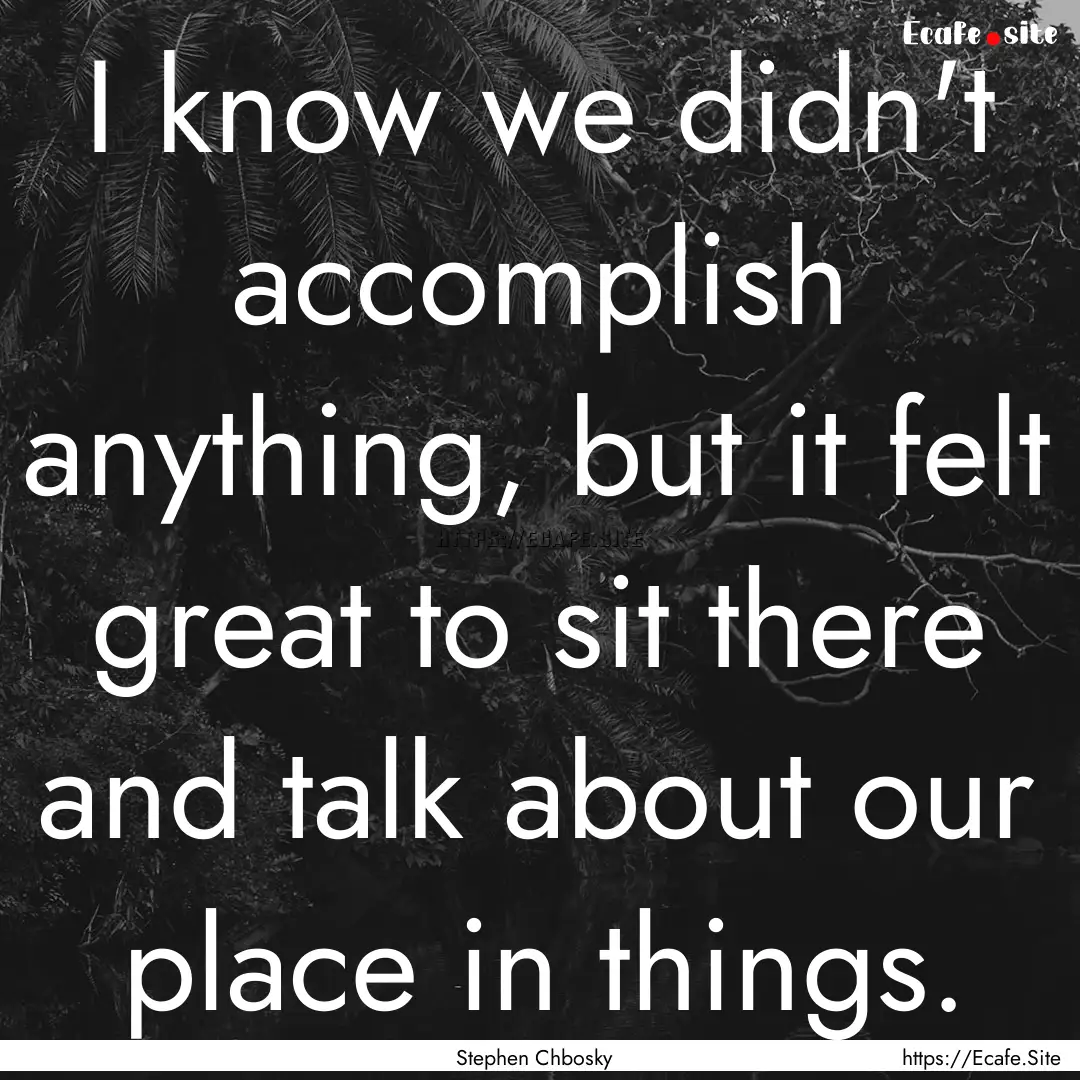 I know we didn't accomplish anything, but.... : Quote by Stephen Chbosky