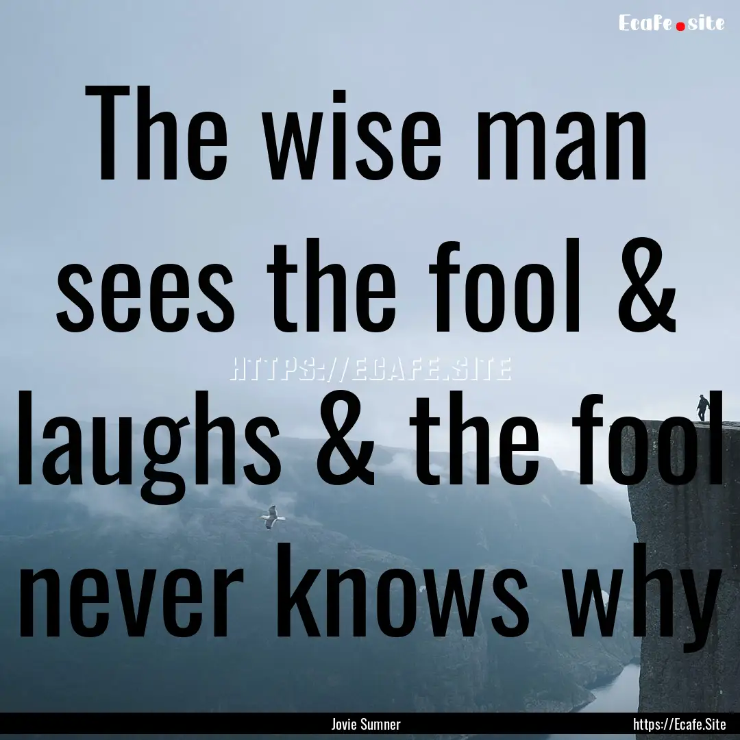 The wise man sees the fool & laughs & the.... : Quote by Jovie Sumner