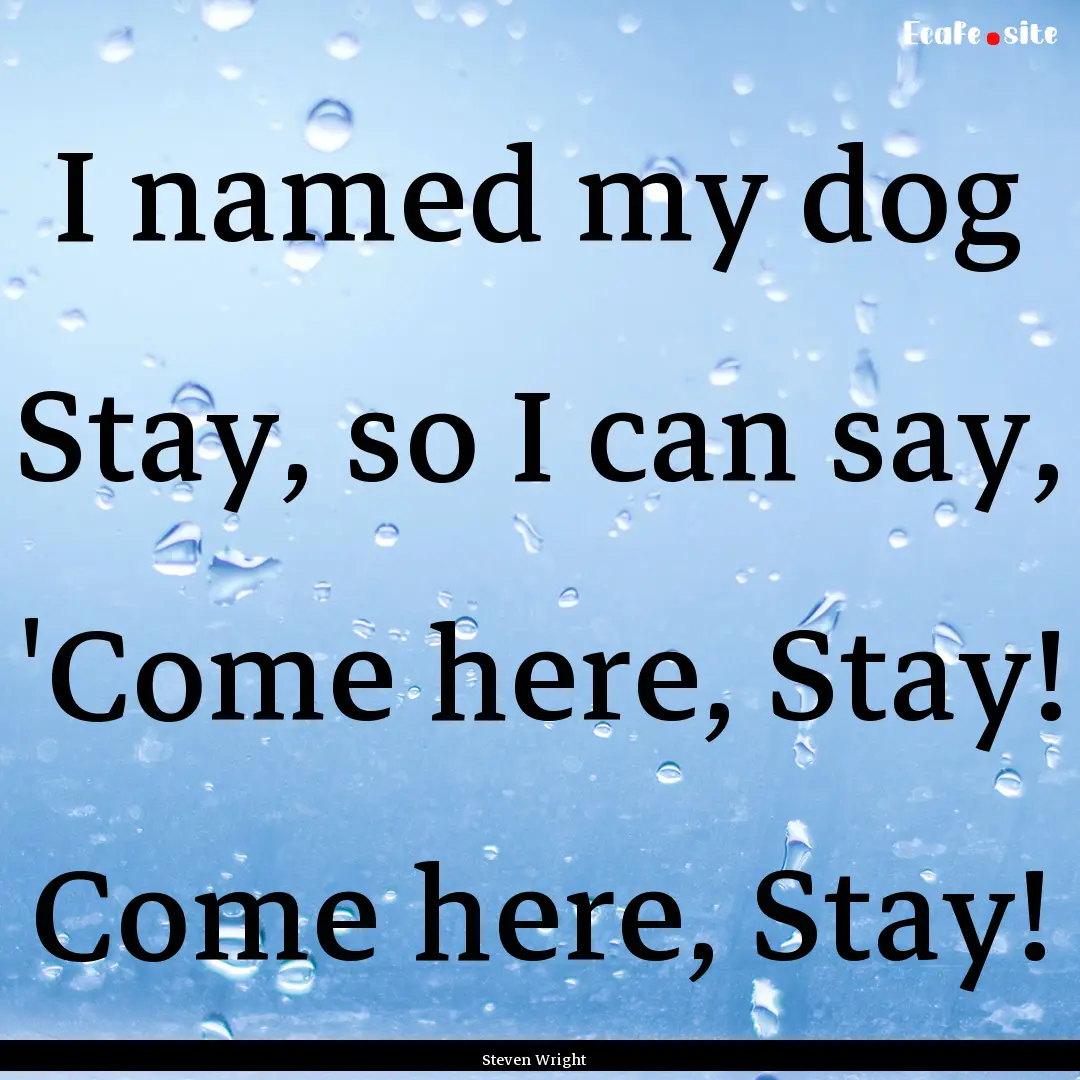 I named my dog Stay, so I can say, 'Come.... : Quote by Steven Wright