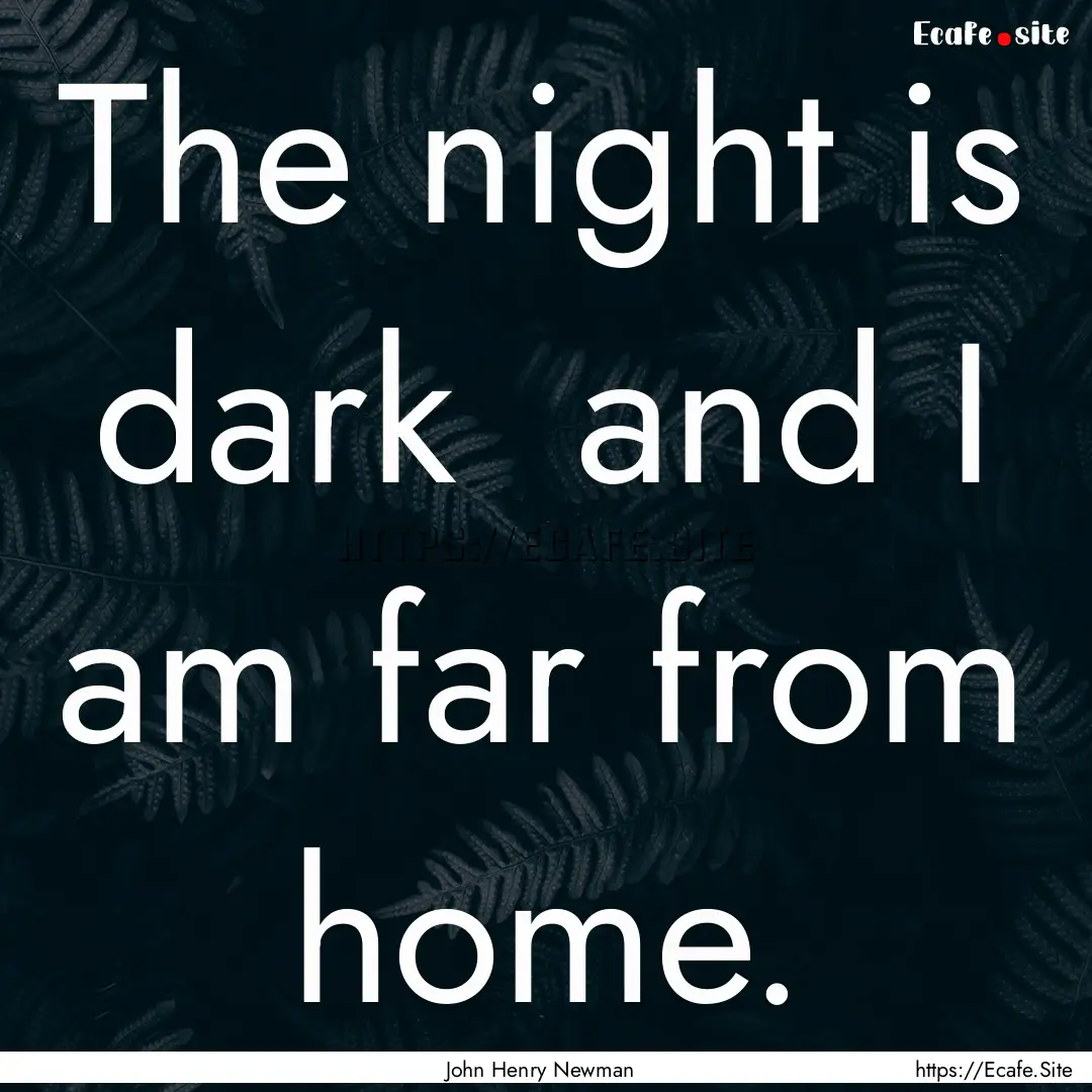 The night is dark and I am far from home..... : Quote by John Henry Newman