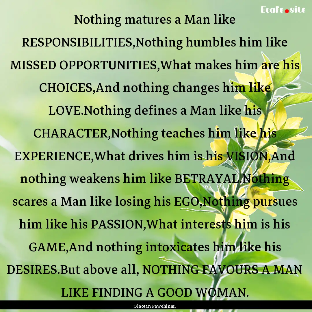 Nothing matures a Man like RESPONSIBILITIES,Nothing.... : Quote by Olaotan Fawehinmi