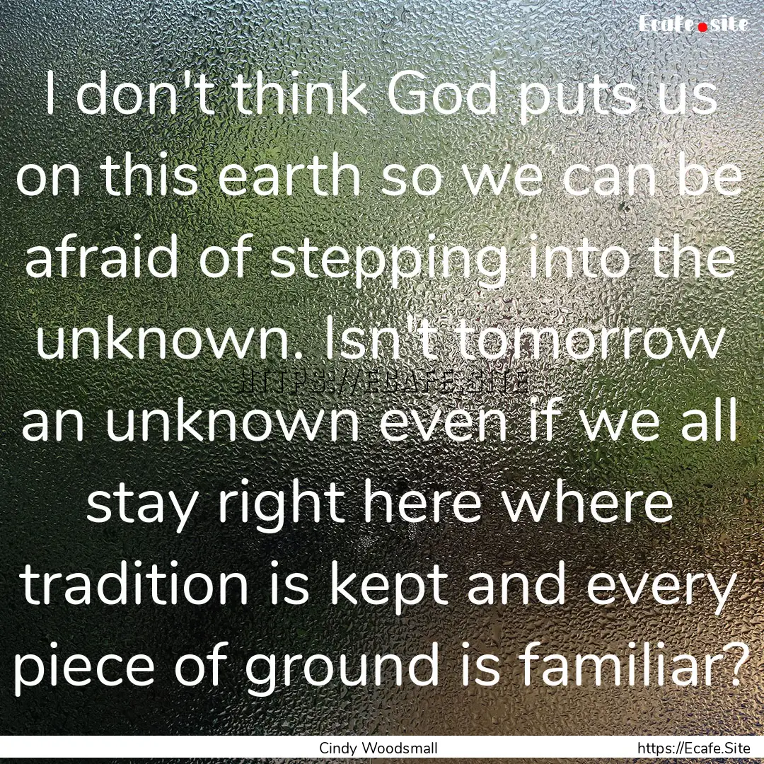 I don't think God puts us on this earth so.... : Quote by Cindy Woodsmall