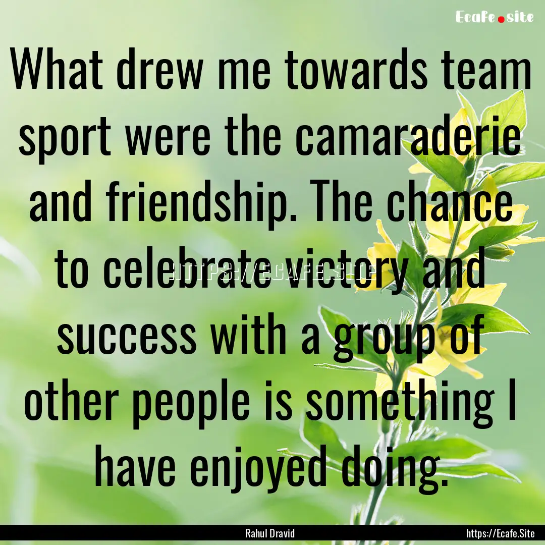 What drew me towards team sport were the.... : Quote by Rahul Dravid