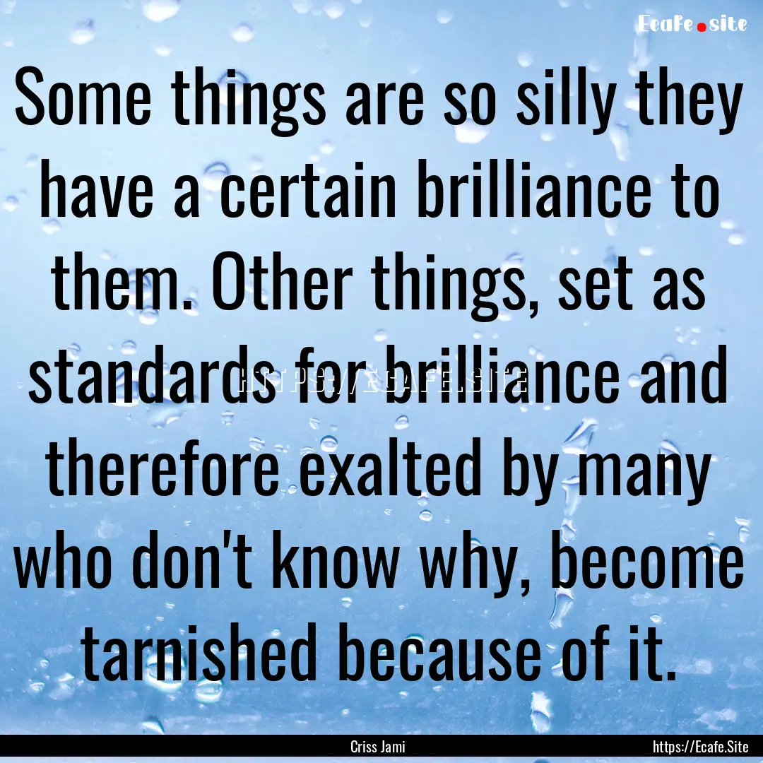 Some things are so silly they have a certain.... : Quote by Criss Jami