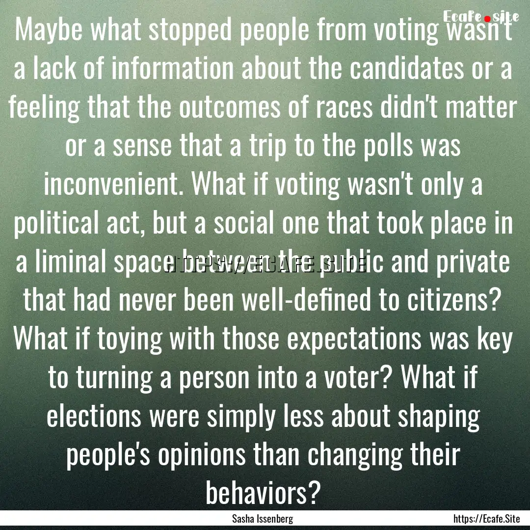 Maybe what stopped people from voting wasn't.... : Quote by Sasha Issenberg