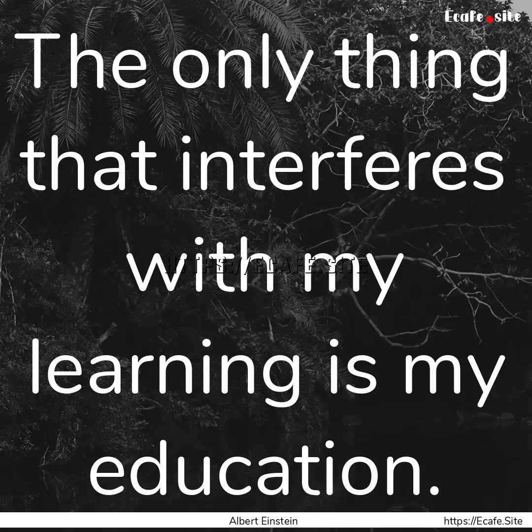 The only thing that interferes with my learning.... : Quote by Albert Einstein