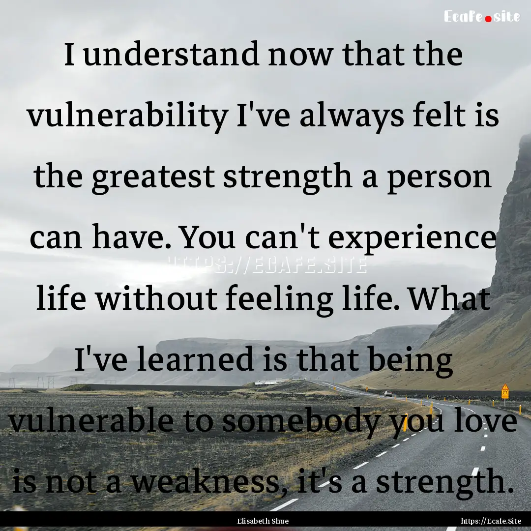 I understand now that the vulnerability I've.... : Quote by Elisabeth Shue